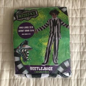 Kids Beetlejuice Costume - B&W Striped Pants, Top, and Wig. Size L - 12-14